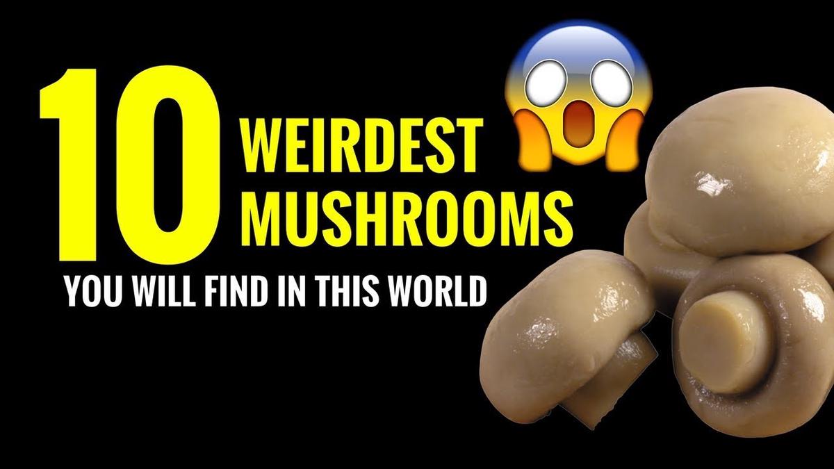 'Video thumbnail for 10 Weirdest Mushrooms Of This World'