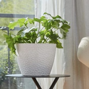 White plant Pot with Honeycomb Design