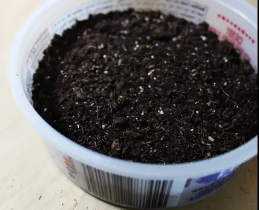 Prepared pot for propagation